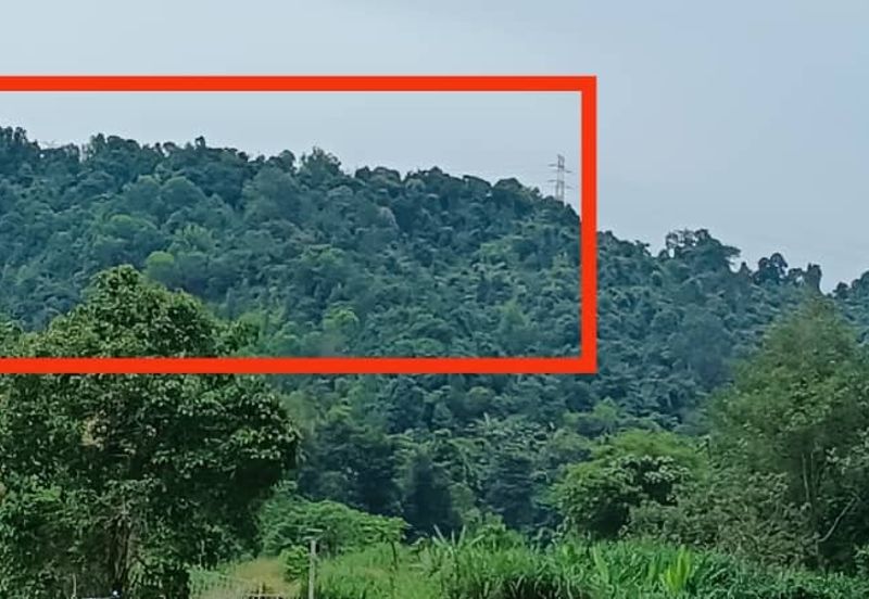 Paroi Business Center