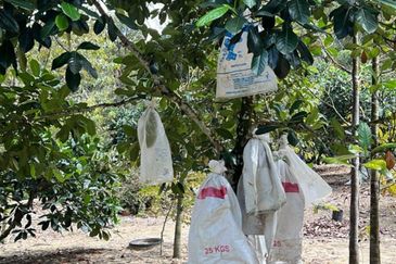 Kampung Mantin Dalam