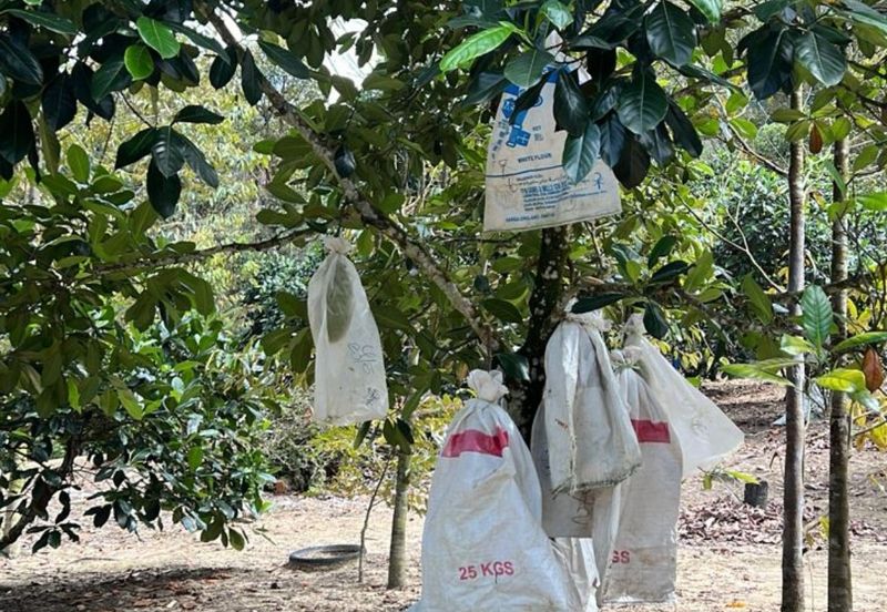 Kampung Mantin Dalam