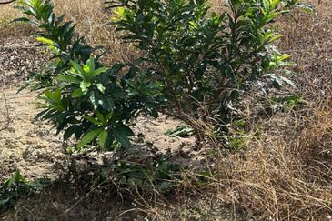 Kampung Mantin Dalam