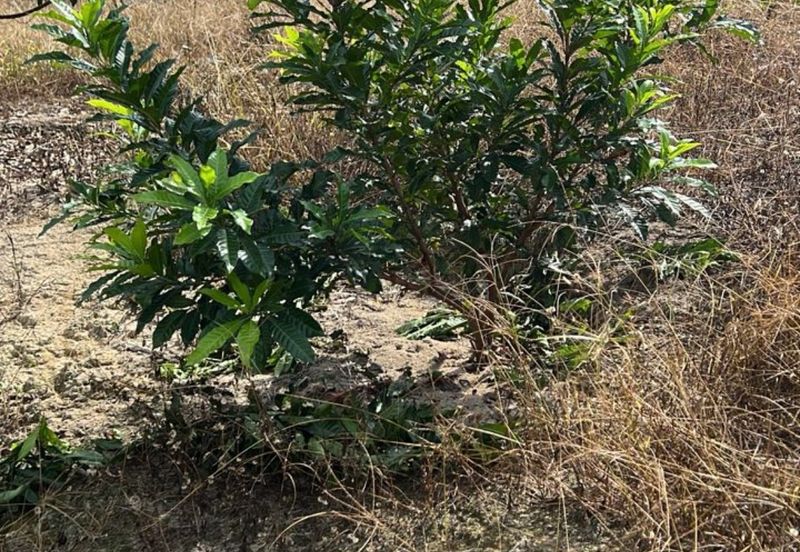 Kampung Mantin Dalam