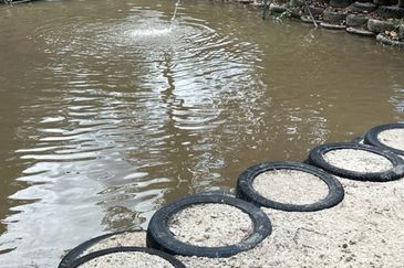 Kampung Mantin Dalam