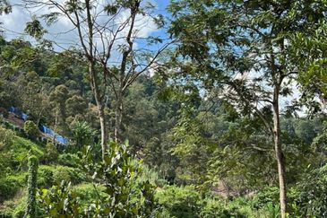 Kampung Mantin Dalam