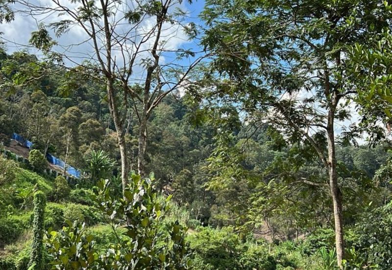 Kampung Mantin Dalam