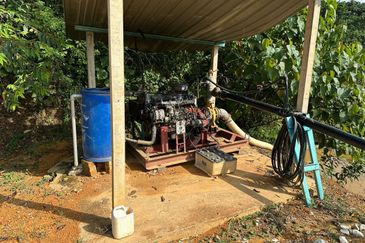 Dusun Durian Kuala Lipis Untuk Di Jual