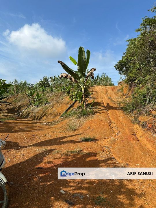 Dusun Durian Kuala Lipis Untuk Di Jual, Pahang, Kuala Lipis