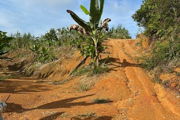 Dusun Durian Kuala Lipis Untuk Di Jual