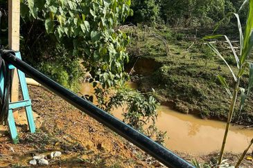 Dusun Durian Kuala Lipis Untuk Di Jual