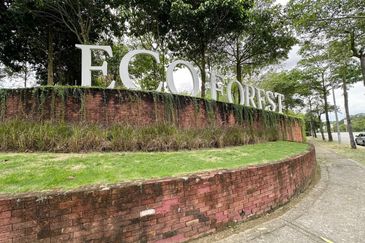 Ebonylane @ Eco Forest