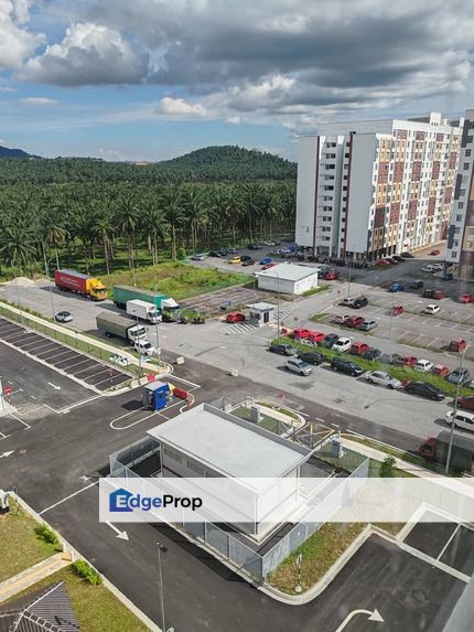Pangsapuri pulai mutiara for rent , Johor, Johor Bahru