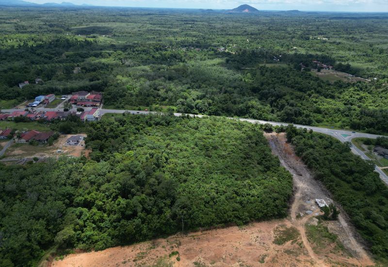 Bukit Bunga Tanah Merah Tanah Bangunan Untuk Dijual