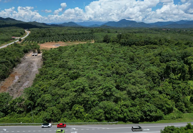 Bukit Bunga Tanah Merah Tanah Bangunan Untuk Dijual