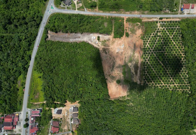 Bukit Bunga Tanah Merah Tanah Bangunan Untuk Dijual