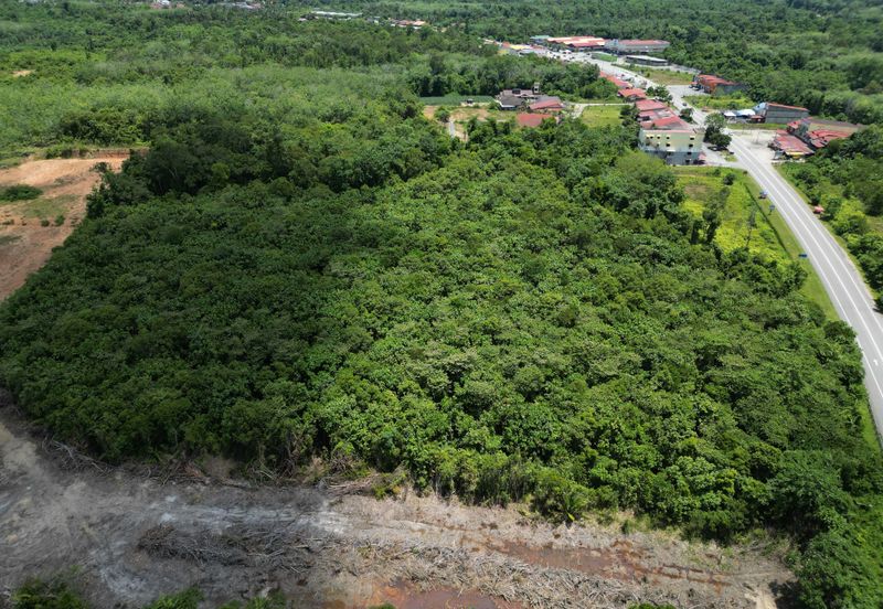 Bukit Bunga Tanah Merah Tanah Bangunan Untuk Dijual