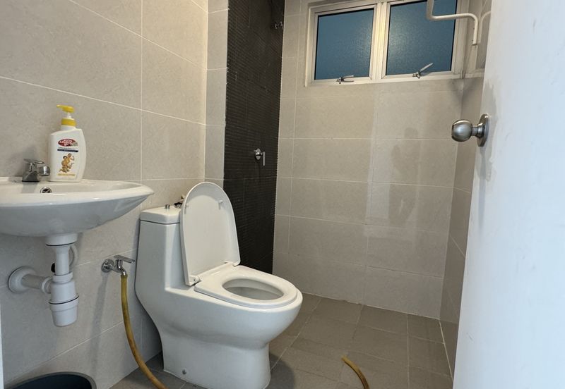 Acacia Salak Perdana