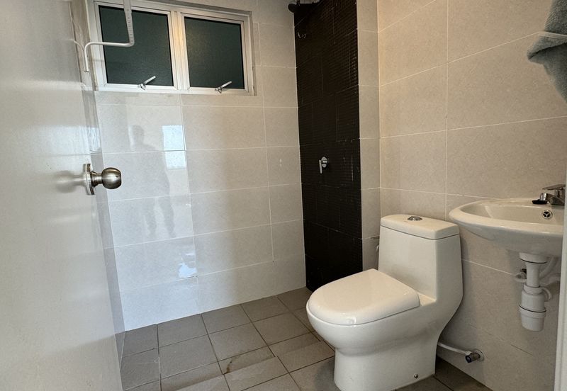 Acacia Salak Perdana