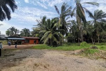 Tanah Pertanian Batu 74 Jalan Pt Sulong, Yong Peng Batu Pahat  (Tepi Jalan Utama)