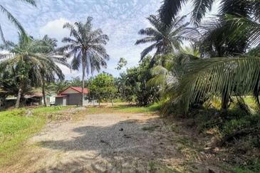 Tanah Pertanian Batu 74 Jalan Pt Sulong, Yong Peng Batu Pahat  (Tepi Jalan Utama)