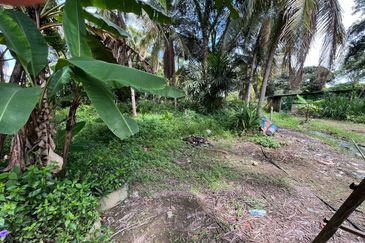 Tanah Lot Kediaman di Pasir Minal, Kemaman Terengganu