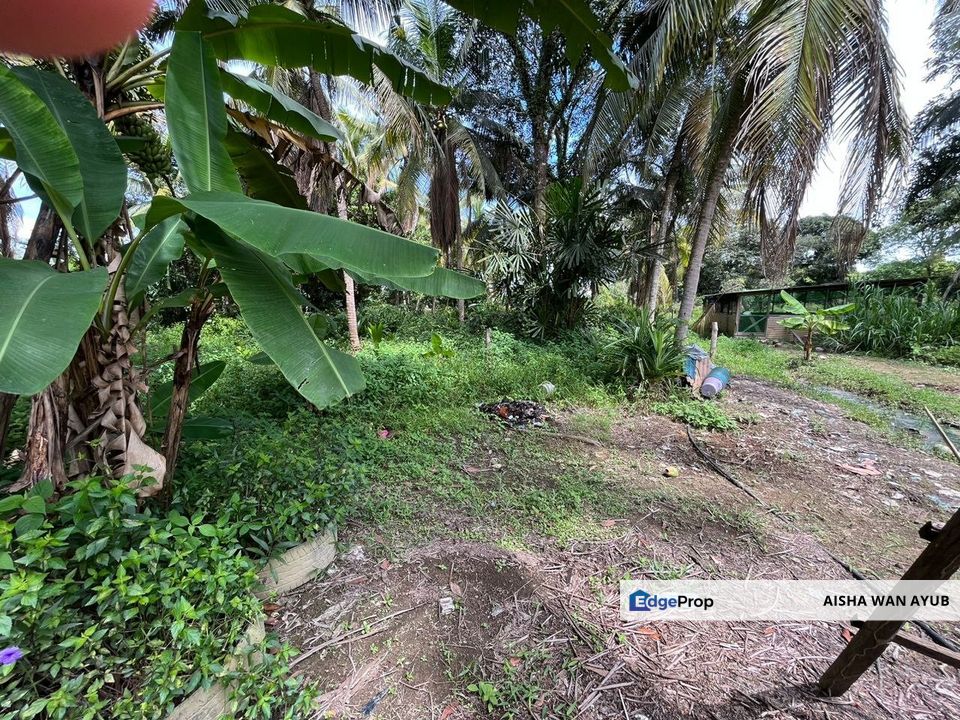Tanah Lot Kediaman di Pasir Minal, Kemaman Terengganu, Terengganu, Kemaman