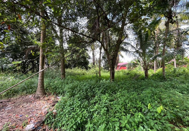 Tanah Lot Kediaman di Pasir Minal, Kemaman Terengganu