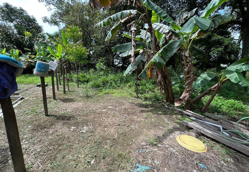Tanah Lot Kediaman di Pasir Minal, Kemaman Terengganu