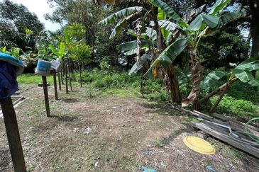 Tanah Lot Kediaman di Pasir Minal, Kemaman Terengganu