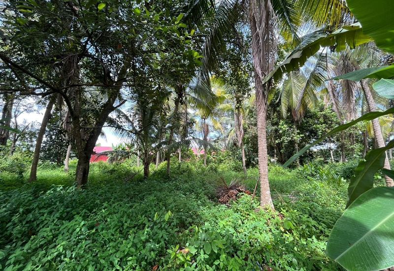 Tanah Lot Kediaman di Pasir Minal, Kemaman Terengganu