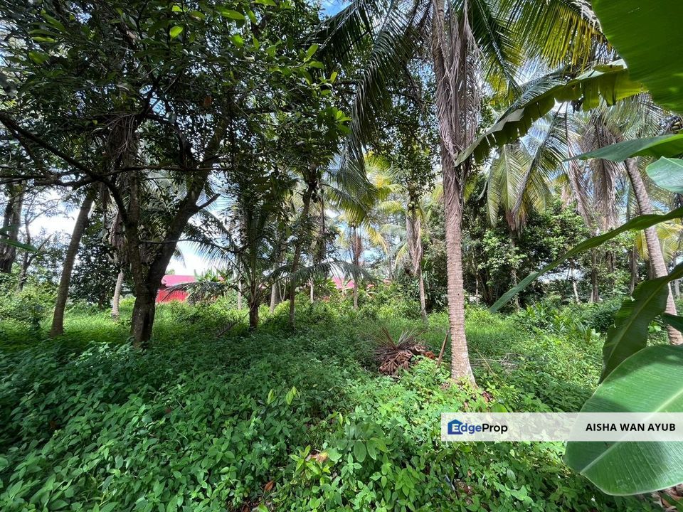 Tanah Lot Kediaman di Pasir Minal, Kemaman Terengganu, Terengganu, Kemaman