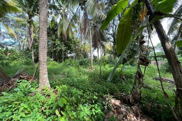 Tanah Lot Kediaman di Pasir Minal, Kemaman Terengganu