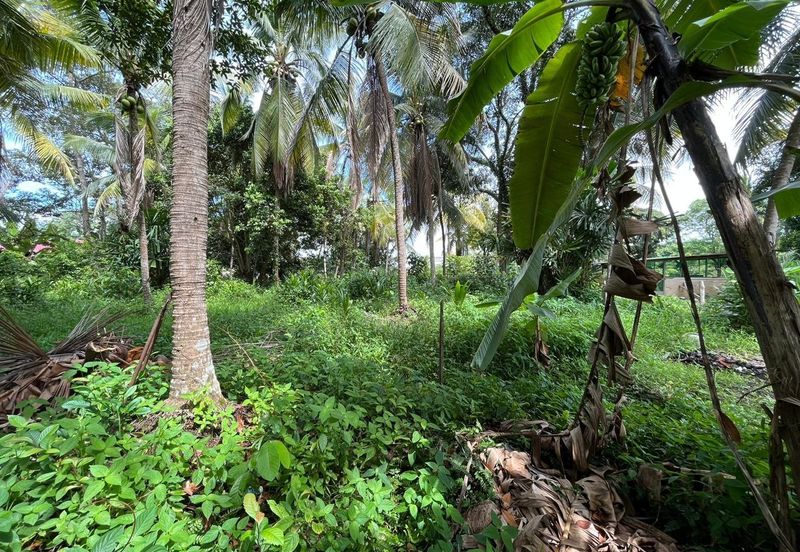 Tanah Lot Kediaman di Pasir Minal, Kemaman Terengganu