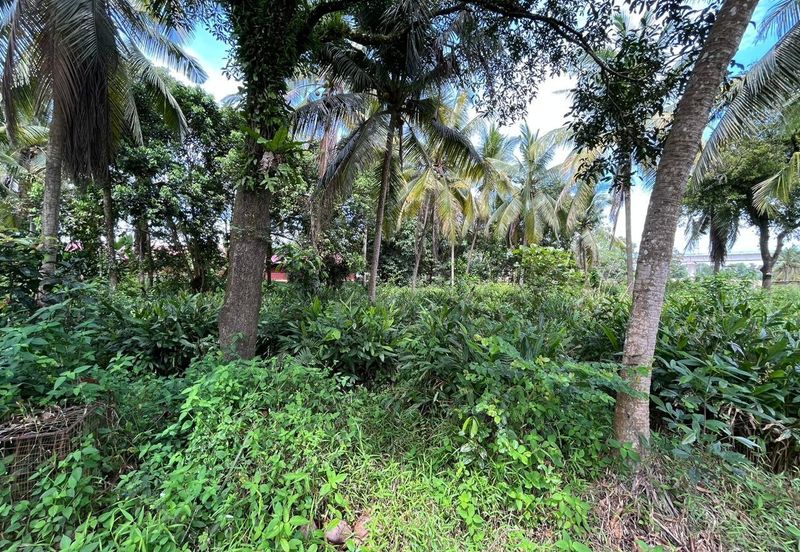 Tanah Lot Kediaman di Pasir Minal, Kemaman Terengganu