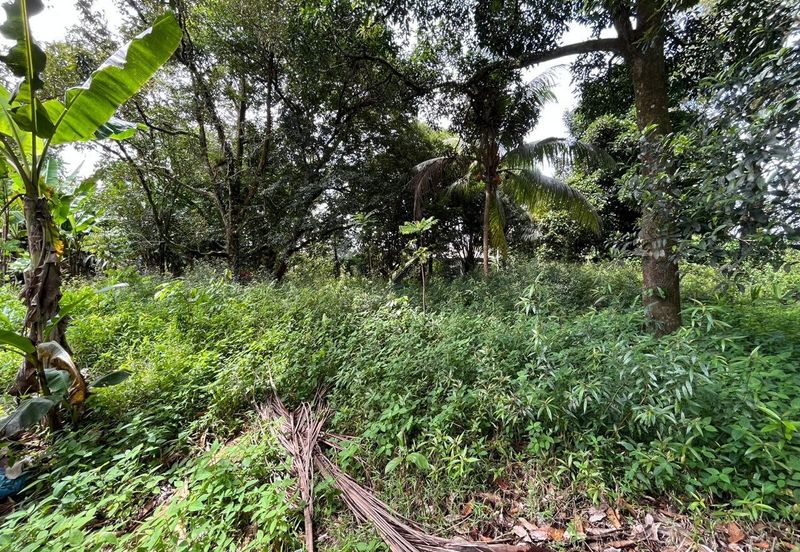 Tanah Lot Kediaman di Pasir Minal, Kemaman Terengganu