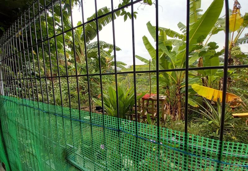 Desa Pinggiran Putra