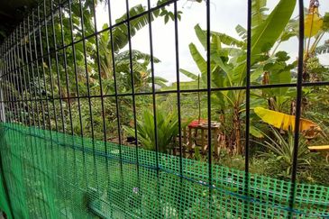 Desa Pinggiran Putra