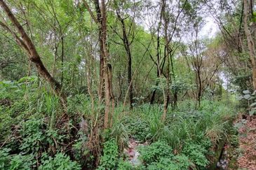 Kawasan Perindustrian Nilai 3