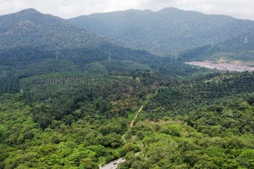 Paroi Business Center