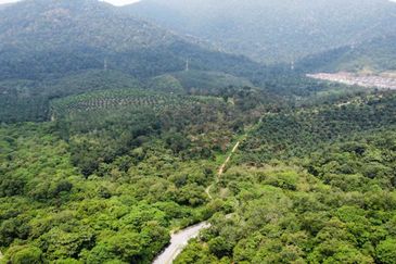 Paroi Business Center