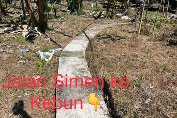 Durian Farm Fruits With 3 Storey House @ Ulu Dong Raub Pahang For Sale