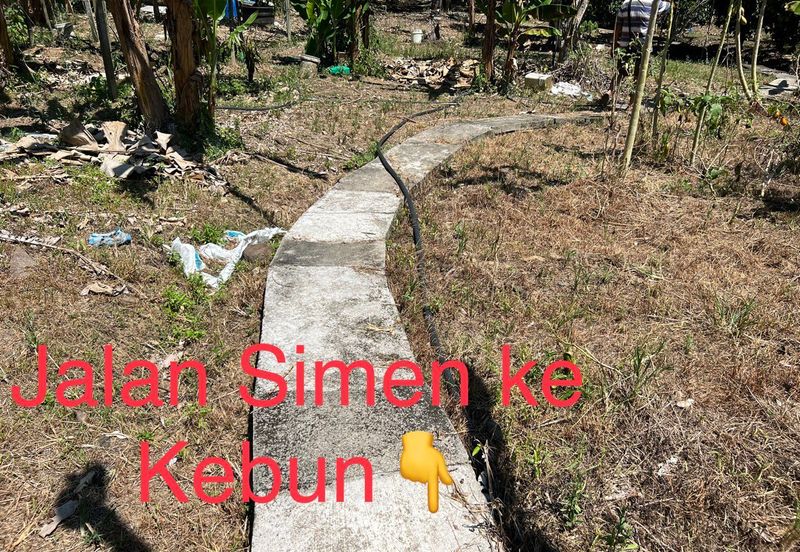 Durian Farm Fruits With 3 Storey House @ Ulu Dong Raub Pahang For Sale