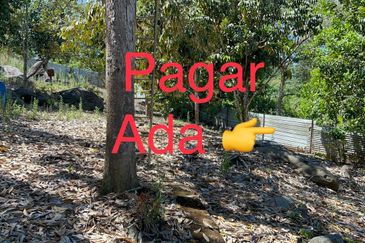 Durian Farm Fruits With 3 Storey House @ Ulu Dong Raub Pahang For Sale