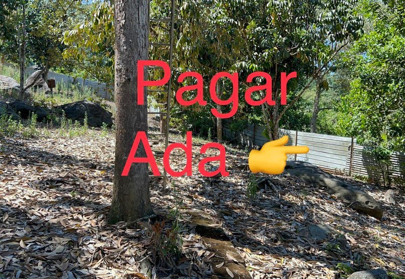 Durian Farm Fruits With 3 Storey House @ Ulu Dong Raub Pahang For Sale