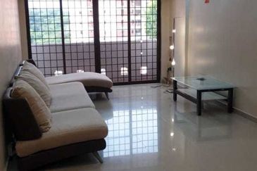 Evergreen Park Acorn and Hazel