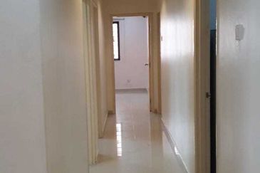 Evergreen Park Acorn and Hazel