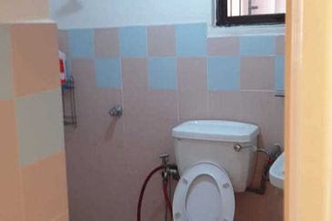 Evergreen Park Acorn and Hazel