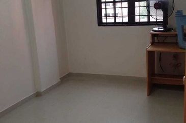 Evergreen Park Acorn and Hazel