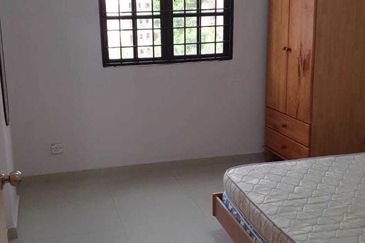 Evergreen Park Acorn and Hazel