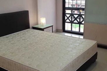 Evergreen Park Acorn and Hazel