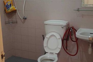 Evergreen Park Acorn and Hazel