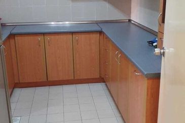 Evergreen Park Acorn and Hazel